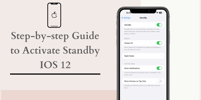 Activate Standby IOS 12